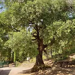 Сasa de vacaciones Morisfarms - Santa Chiara