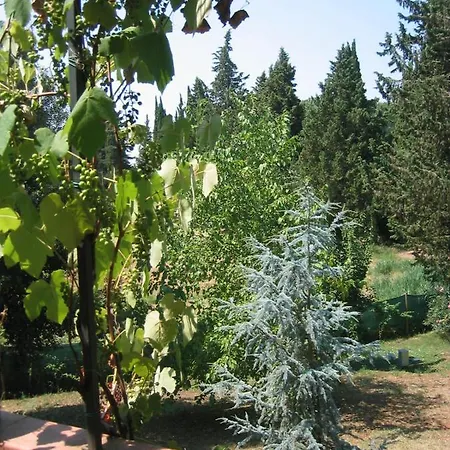 Morisfarms - Santa Chiara Nyaraló *