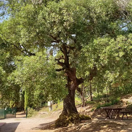 Nyaraló Morisfarms - Santa Chiara
