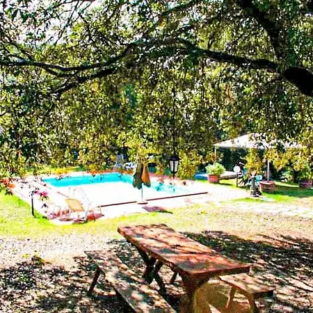 Morisfarms - Santa Chiara