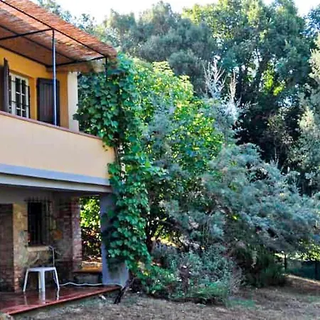 Morisfarms - Santa Chiara Massa Marittima