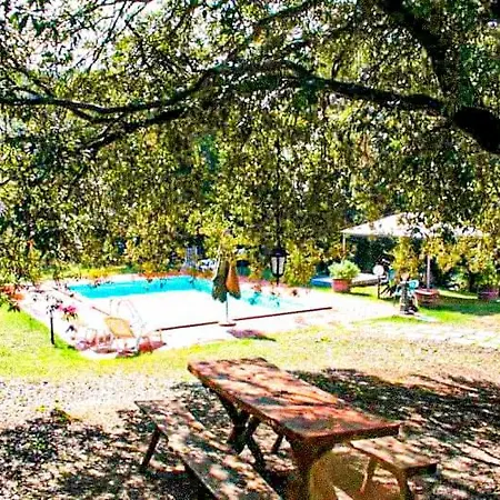 Morisfarms - Santa Chiara